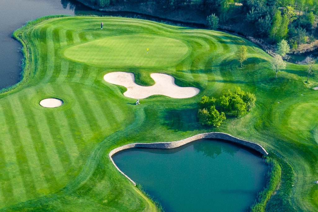 Golf Course Grass Varieties